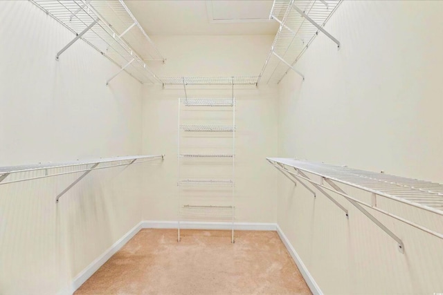 154 Windsor Cir SW, Ocean Isle Beach, NC 28469 - walk in closet featuring light colored carpet