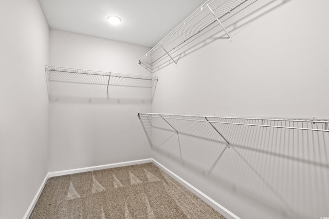 154 Six Mile Creek Dr, Georgetown, SC 29440 - spacious closet with carpet