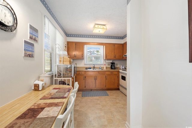 2191 Liberty Cir, Little River, SC 29566 - kitchen with light countertops, white range with electric cooktop, a sink, brown cabinetry, and crown molding