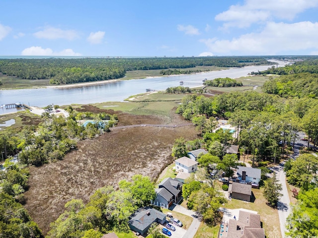 2191 Liberty Cir, Little River, SC 29566 - aerial view of a nearby body of water and a forest