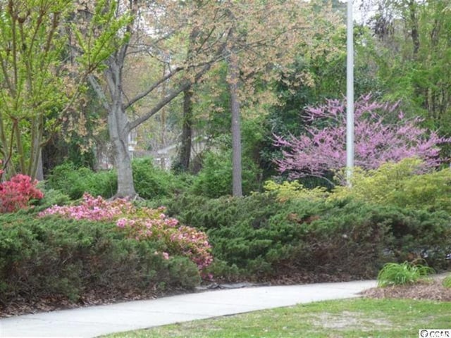 5001 Little River Rd Unit E-306, Myrtle Beach, SC 29577 - view of yard featuring a view of trees