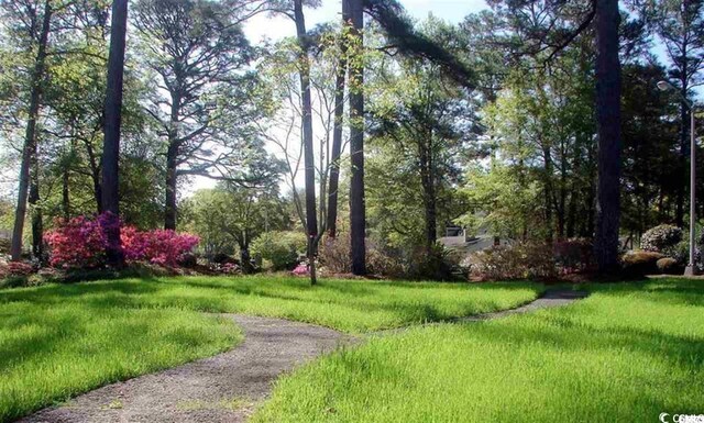 5001 Little River Rd Unit E-306, Myrtle Beach, SC 29577 - view of community featuring a lawn