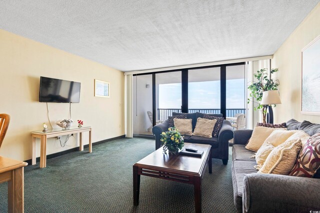 2511 S Ocean Blvd S Unit 1802B, Myrtle Beach, SC 29577 - living area with carpet floors, baseboards, and a textured ceiling