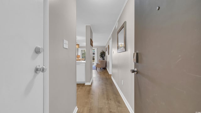 9501 Shore Dr Unit A-211, Myrtle Beach, SC 29572 - hallway with light wood finished floors and baseboards