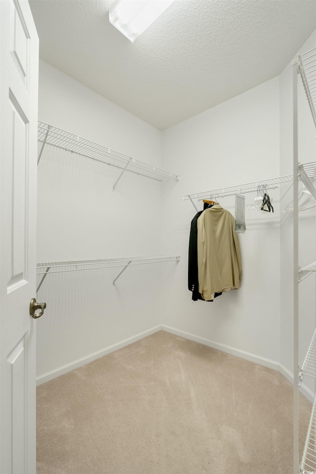 walk in closet featuring carpet flooring