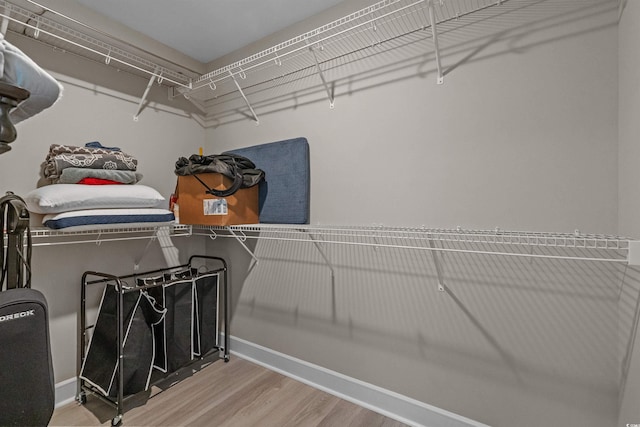 1307 Collins Park St, Conway, SC 29526 - walk in closet featuring wood finished floors