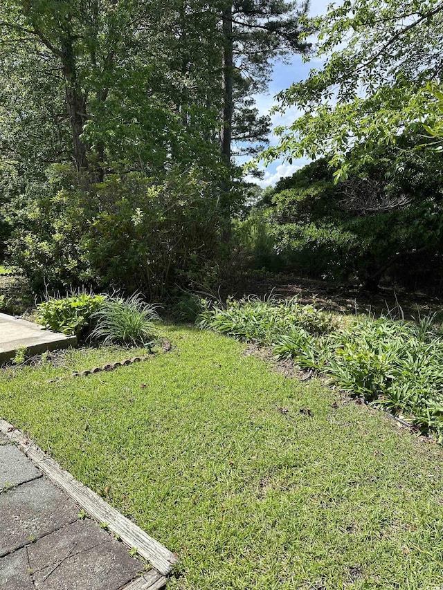 view of green lawn