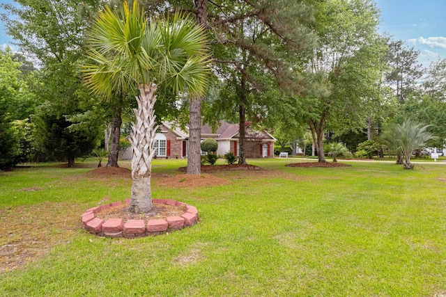 view of grassy yard