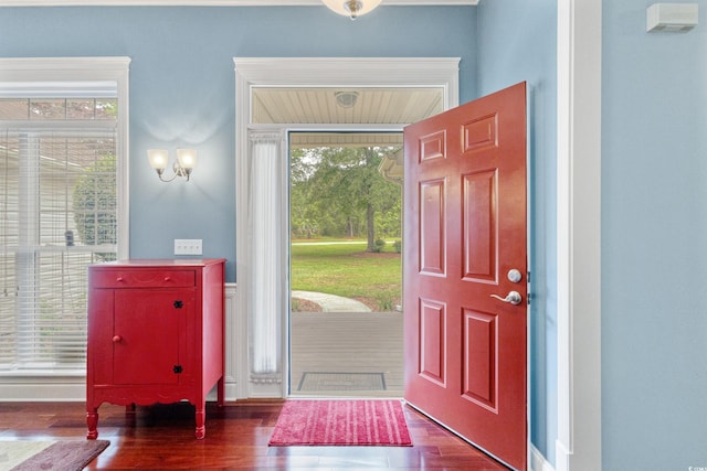 foyer featuring plenty of natural light and wood finished floors