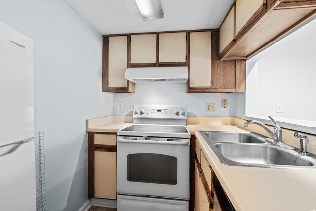 1100 Possum Trot Rd Unit B202, North Myrtle Beach, SC 29582 - kitchen with under cabinet range hood, white appliances, a sink, and light countertops