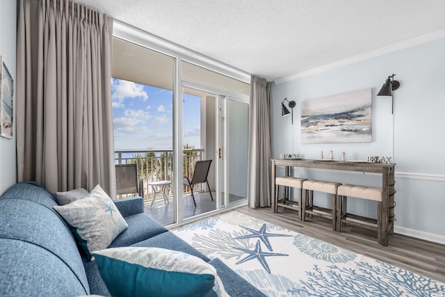 2000 N Ocean Blvd Unit 315, Myrtle Beach, SC 29577 - living area with wood finished floors, crown molding, a textured ceiling, and baseboards