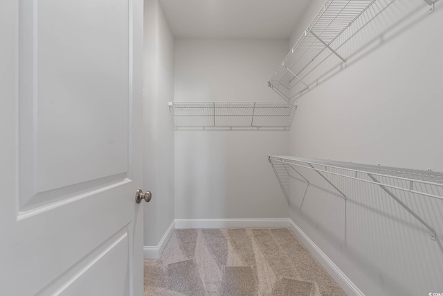 61 Yale Pl, Pawleys Island, SC 29585 - spacious closet featuring carpet flooring