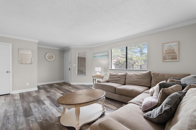 2000 Greens Blvd Unit 40C, Myrtle Beach, SC 29577 - living area featuring crown molding, wood finished floors, a textured ceiling, and baseboards