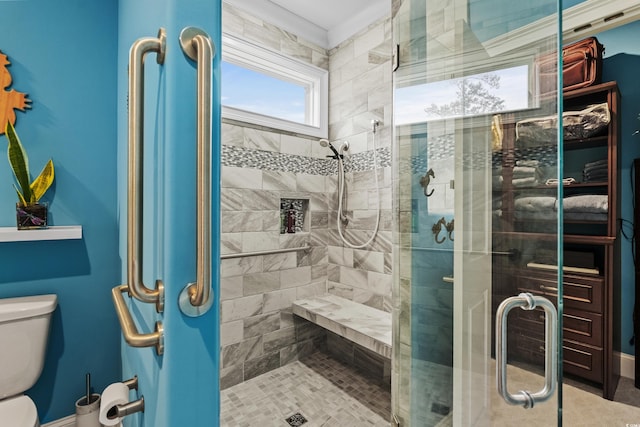 bathroom with a stall shower and toilet