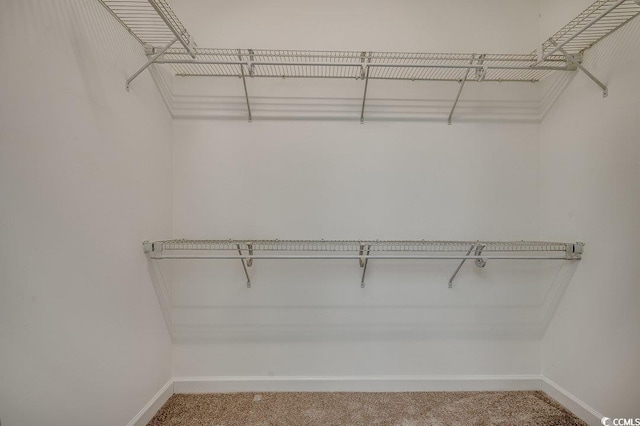 100 Woodlyn Ave, Little River, SC 29566 - spacious closet with carpet flooring