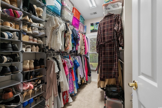 190 Barony Pl, Pawleys Island, SC 29585 - spacious closet featuring carpet