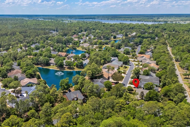 190 Barony Pl, Pawleys Island, SC 29585 - aerial view of residential area featuring a large body of water and a heavily wooded area