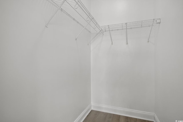 spacious closet featuring dark wood-style floors