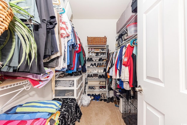 1367 Bermuda Grass Dr, Myrtle Beach, SC 29579 - walk in closet with carpet floors