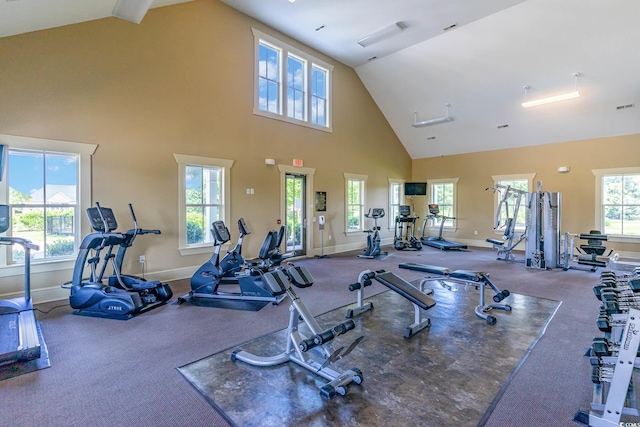 1367 Bermuda Grass Dr, Myrtle Beach, SC 29579 - gym with baseboards, high vaulted ceiling, and carpet flooring