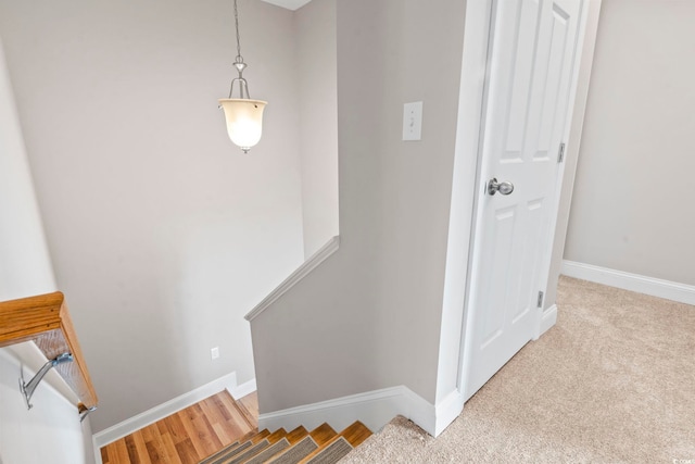 stairway featuring baseboards and carpet flooring
