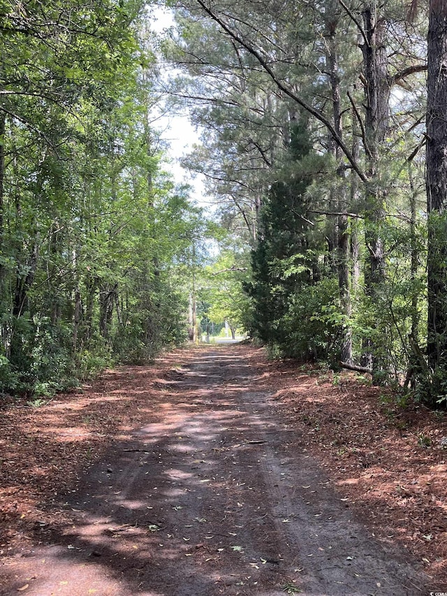TBD Highway 90, Longs, SC 29568