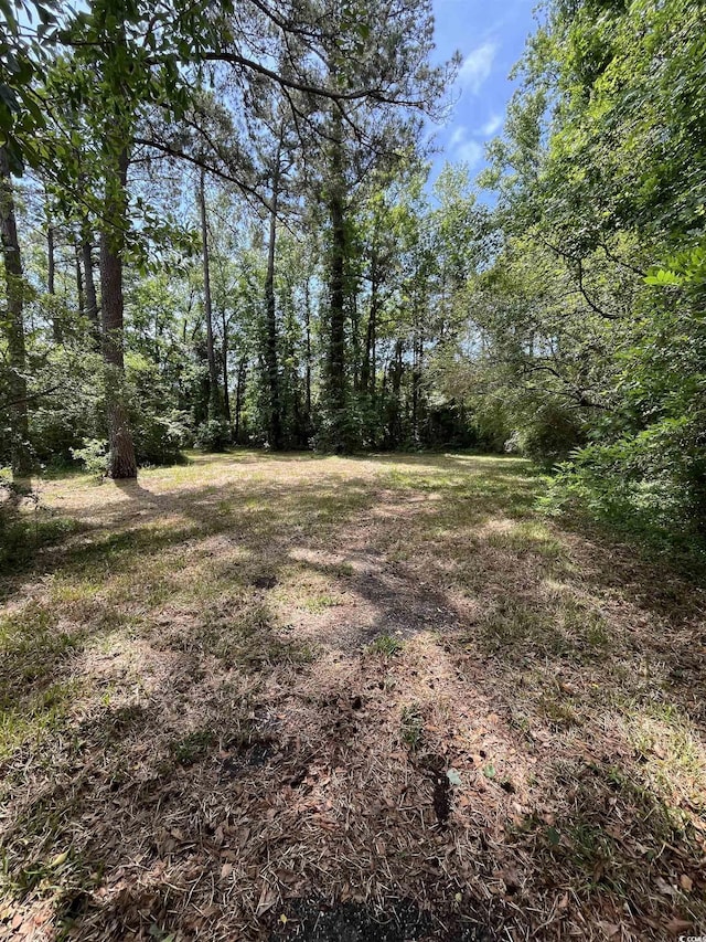 TBD Highway 90, Longs, SC 29568