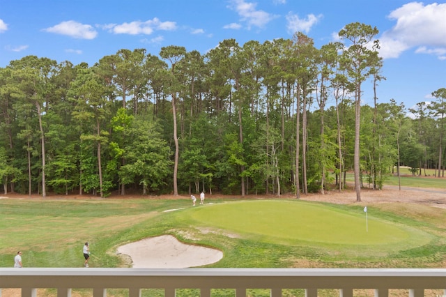 view of home's community featuring a putting green