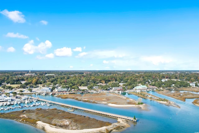 bird's eye view of a large body of water and a tree filled landscape
