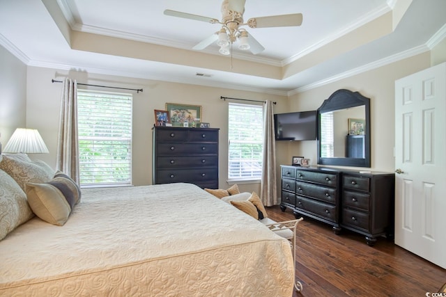 bedroom with a raised ceiling, dark wood finished floors, ornamental molding, and a ceiling fan