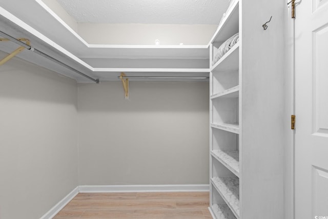 spacious closet with light wood-style flooring