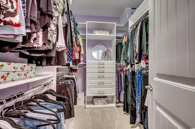 spacious closet featuring carpet floors