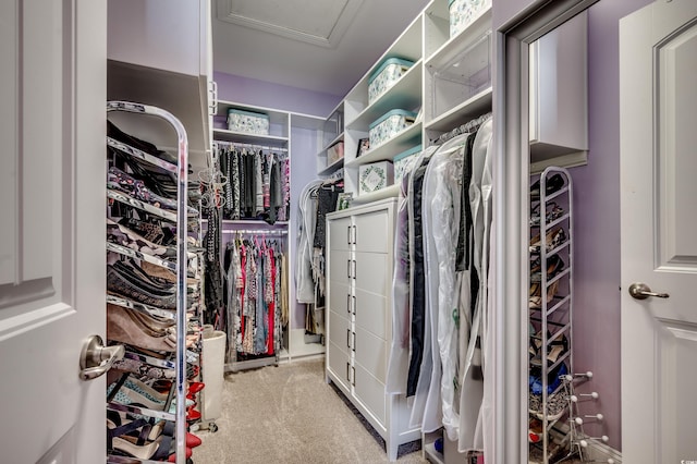 spacious closet featuring carpet floors