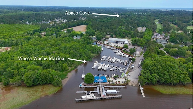 bird's eye view of a nearby body of water, a marina, and a forest