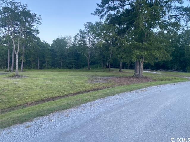 114 Belland Ct, Loris, SC 29569 - photo 1