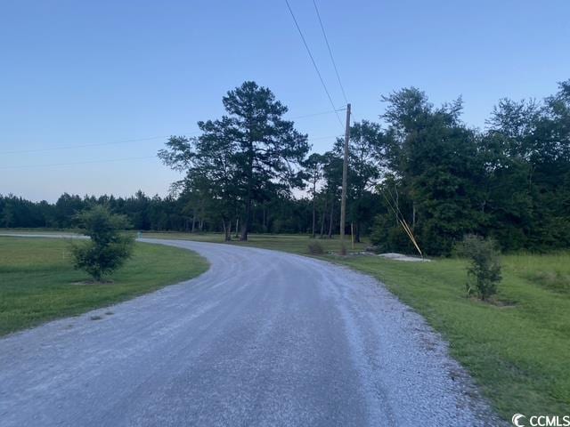 114 Belland Ct, Loris, SC 29569 - photo 3