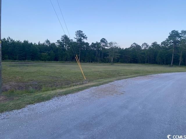 114 Belland Ct, Loris, SC 29569 - photo 4
