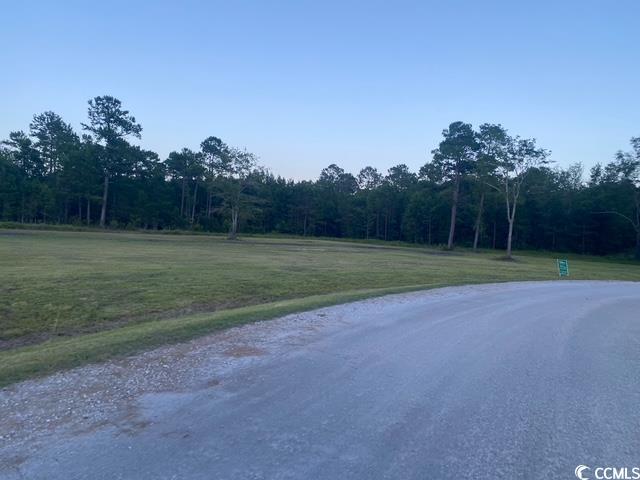 114 Belland Ct, Loris, SC 29569 - photo 5