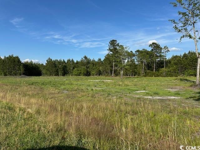 114 Belland Ct, Loris, SC 29569 - photo 10