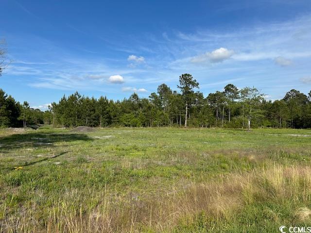 114 Belland Ct, Loris, SC 29569 - photo 9