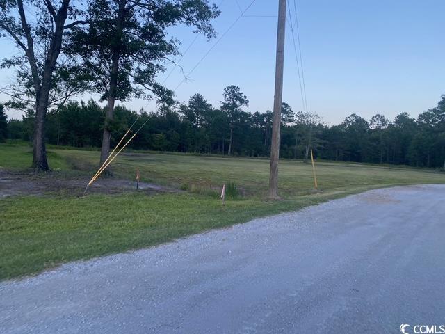 114 Belland Ct, Loris, SC 29569 - photo 6