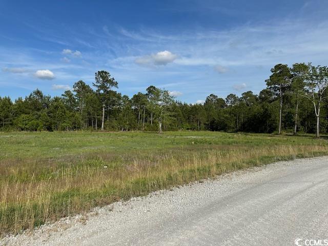 114 Belland Ct, Loris, SC 29569 - photo 12
