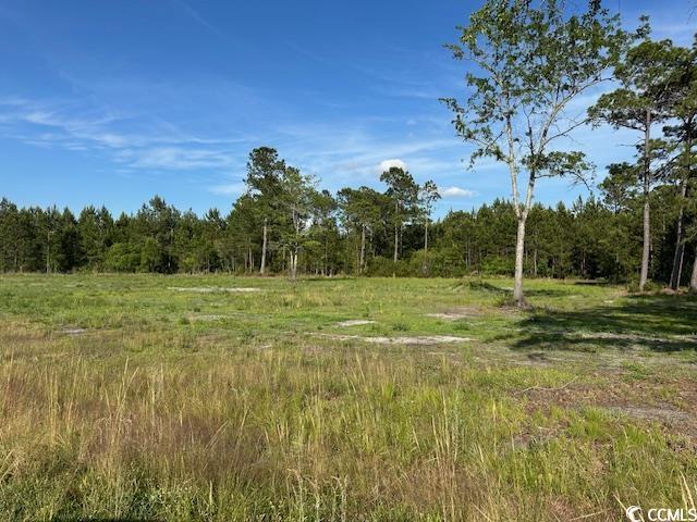 114 Belland Ct, Loris, SC 29569 - photo 11