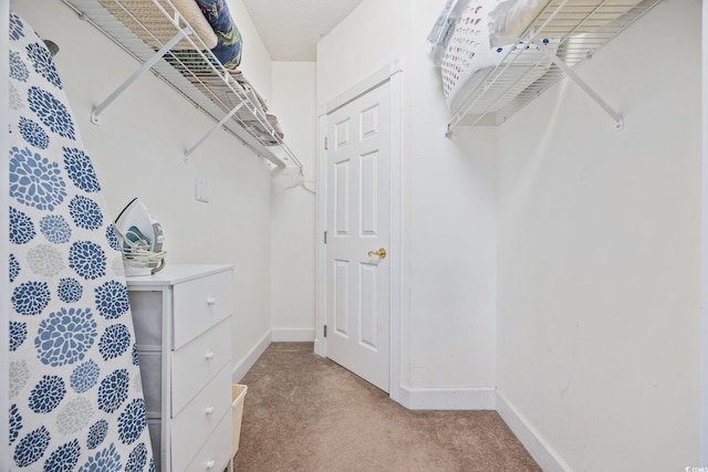 walk in closet with light colored carpet