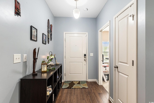 436 Cotton Grass Dr, Loris, SC 29569 - photo 6