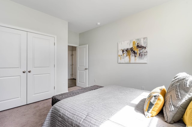 814 Belle Dr, North Myrtle Beach, SC 29582 - bedroom featuring carpet floors and a closet