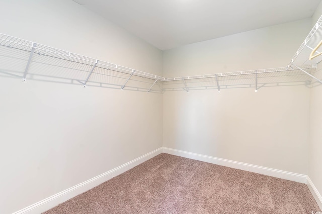 814 Belle Dr, North Myrtle Beach, SC 29582 - spacious closet featuring carpet floors