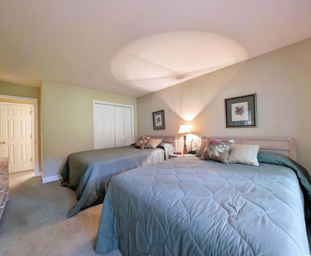 bedroom with carpet flooring and a closet