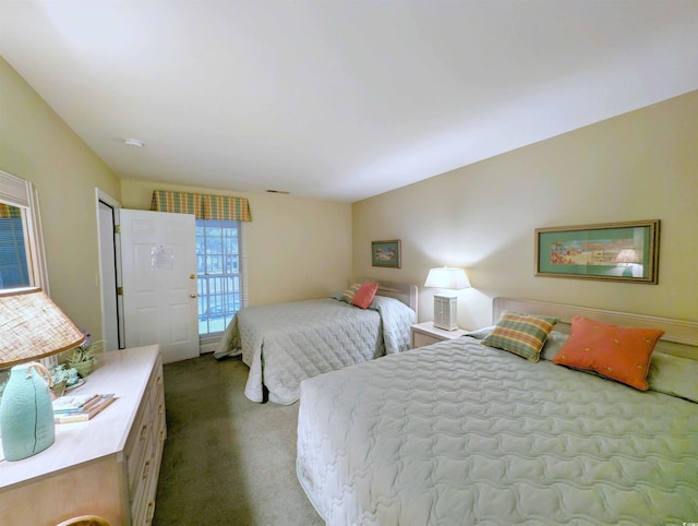 bedroom with carpet flooring