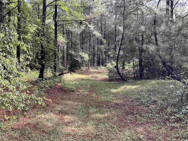 TBD Trade St, Cheraw, SC 29520 - photo 2